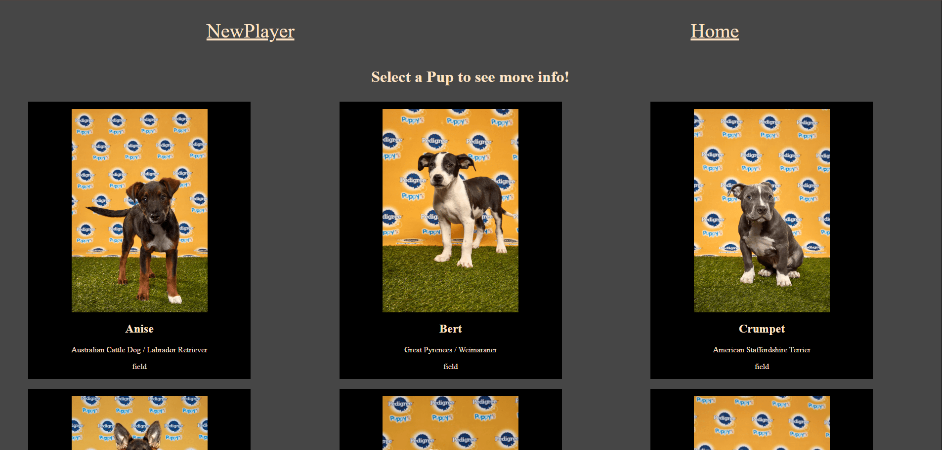 Puppy Bowl application showing player cards with puppy images and stadium backgrounds
